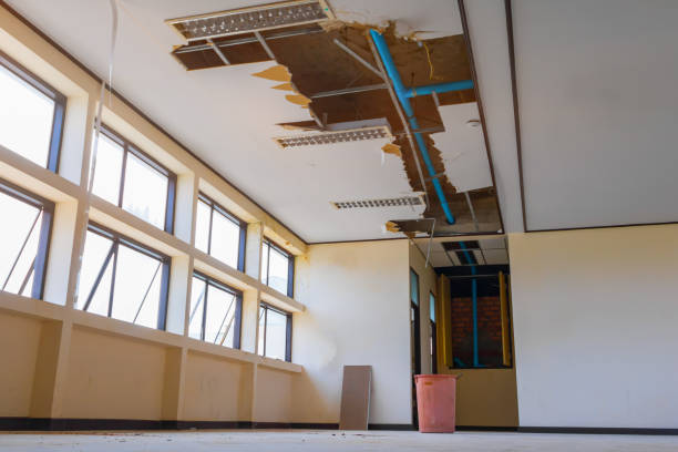 Best Basement water damage restoration  in Milford, NJ