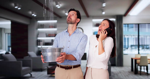 Best Local water damage restoration  in Milford, NJ